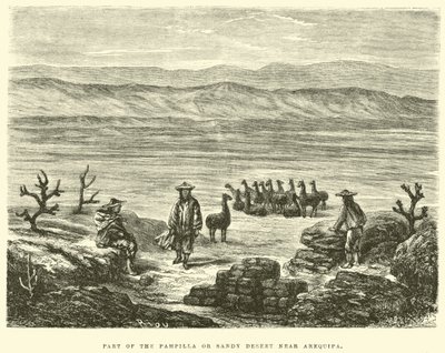 Teil der Pampilla oder Sandwüste bei Arequipa von Edouard Riou